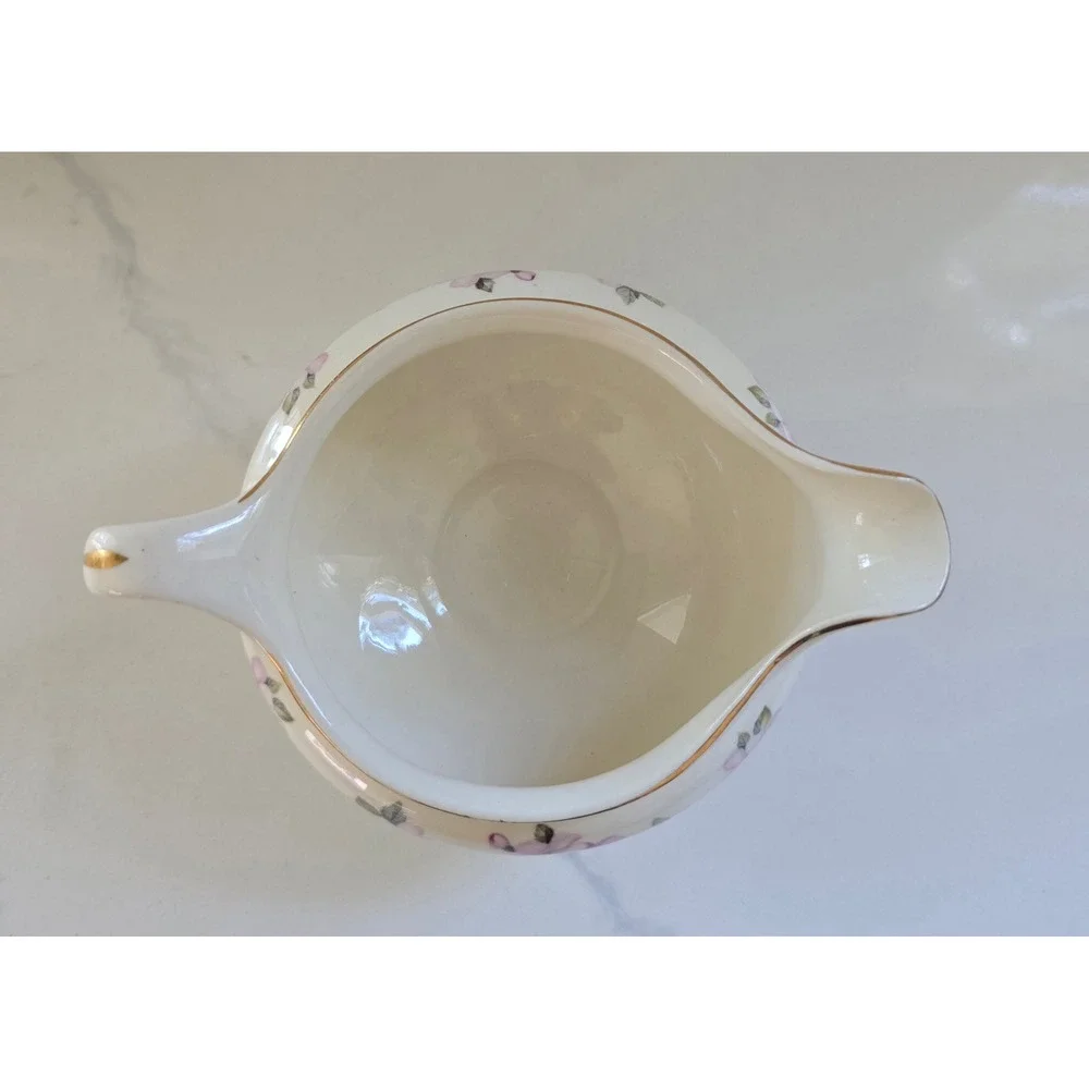 Eggshell Nautilus vintage eggshell